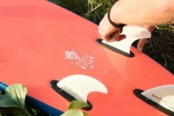 MULLET SOFT SURFBOARDS Fat Cat Model 2022 Model - 4'8 -surf shop 644274